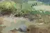 Thumbnail image 9