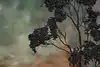 Thumbnail image 8