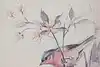 Thumbnail image 6