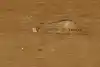 Thumbnail image 10