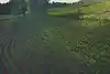 Thumbnail image 11