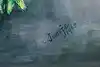 Thumbnail image 7