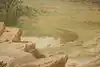 Thumbnail image 5