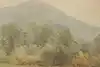 Thumbnail image 6