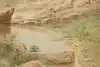 Thumbnail image 7