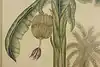 Thumbnail image 9