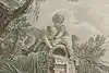 Thumbnail image 7