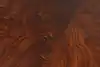 Thumbnail image 24