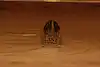 Thumbnail image 13