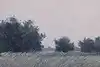 Thumbnail image 11