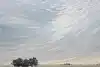 Thumbnail image 3