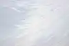 Thumbnail image 8