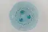 Thumbnail image 7