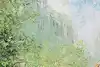 Thumbnail image 9