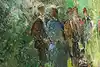 Thumbnail image 10