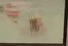 Thumbnail image 11