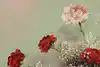 Thumbnail image 7