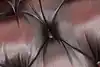 Thumbnail image 21