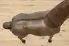 Thumbnail image 14