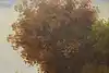Thumbnail image 8