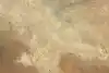 Thumbnail image 11