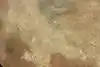 Thumbnail image 14