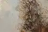 Thumbnail image 7