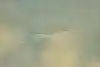 Thumbnail image 13