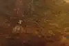 Thumbnail image 7