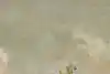 Thumbnail image 13
