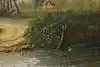 Thumbnail image 10