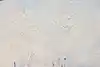 Thumbnail image 12