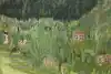 Thumbnail image 11