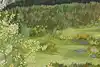 Thumbnail image 7