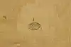 Thumbnail image 13