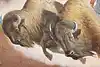 Thumbnail image 8