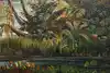 Thumbnail image 9
