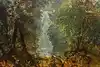 Thumbnail image 6