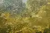 Thumbnail image 8