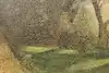 Thumbnail image 13