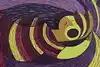 Thumbnail image 7