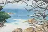 Thumbnail image 4