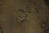 Thumbnail image 8