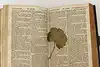 Thumbnail image 4