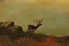 Thumbnail image 12
