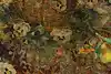 Thumbnail image 23