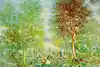 Thumbnail image 1