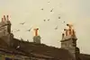Thumbnail image 9