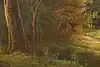 Thumbnail image 10