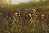 Thumbnail image 11